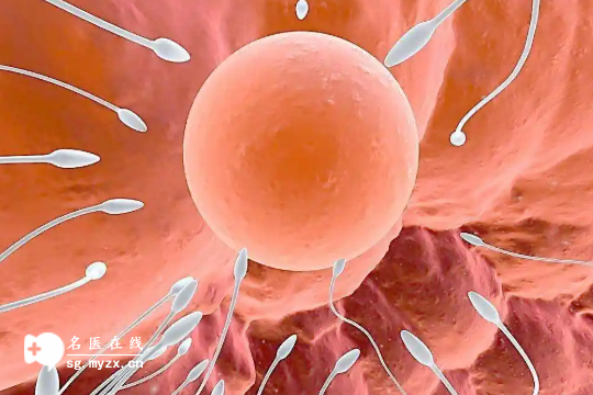 备孕必知！女性排卵期会出现的七大症状，把握黄金时间轻松怀上宝宝